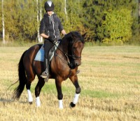 /album/kuvagalleria/ida7218-jpg/