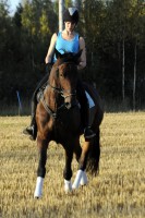 /album/kuvagalleria/ida7262-jpg/