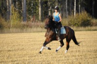 /album/kuvagalleria/ida7286-jpg/