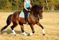 /album/kuvagalleria/ida7311-jpg/