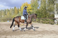 /album/kuvagalleria/ida7413-jpg/