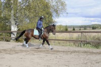 /album/kuvagalleria/ida7444-jpg/