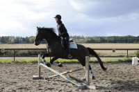 /album/kuvagalleria/ida7479-jpg/