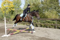 /album/kuvagalleria/ida7515-jpg/