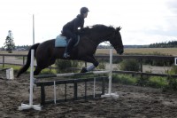 /album/kuvagalleria/ida7538-jpg/