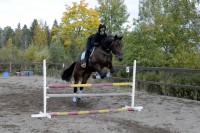 /album/kuvagalleria/ida7553-jpg/