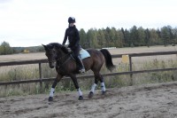 /album/kuvagalleria/ida7571-jpg/