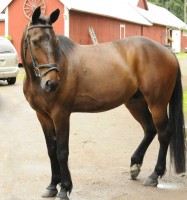 /album/kuvagalleria/ida6713-jpg/