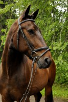 /album/kuvagalleria/ida6725-jpg/