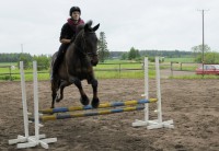 /album/kuvagalleria/ida6810-jpg/