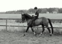 /album/kuvagalleria/ida6904-jpg/