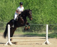 /album/kuvagalleria/img-0907-jpg/