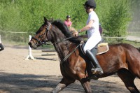 /album/kuvagalleria/img-0912-jpg/