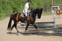 /album/kuvagalleria/img-0919-jpg/